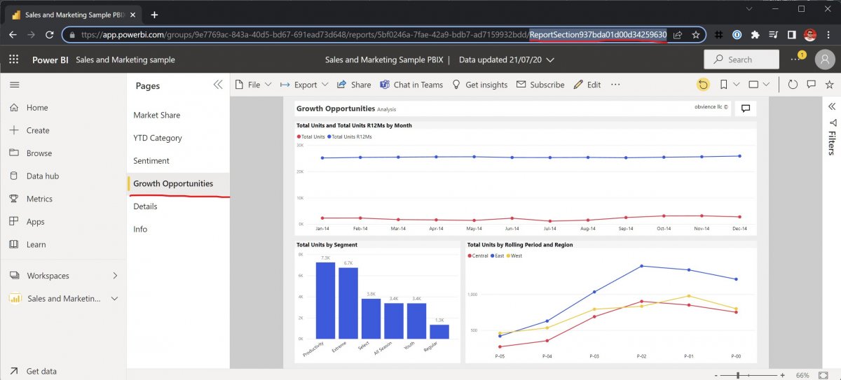 Power BI ReportSection Parameter